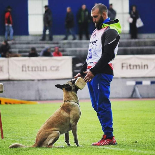 FIRST COURSE FOR BEGINNERS FOR DOGS TO SPORT